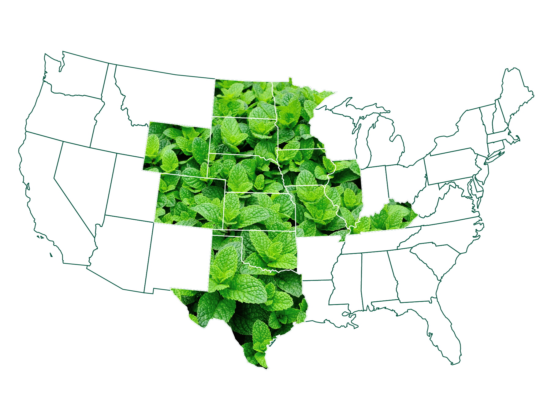 US Map
